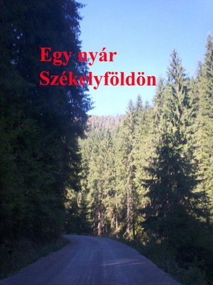 Egy nyár Székelyföldön.